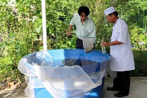 Bộ Y tế tiến hành kiểm tra “điểm nóng” sốt xuất huyết