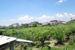 Huyện Kim Bảng, Hà Nam: Dân mất tiền tỷ vì sự tắc trách của xã