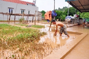 Tan hoang dưới dự án của FLC