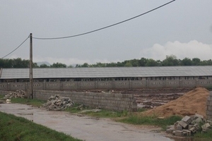 Trang trại chăn nuôi lợn gây ô nhiễm nghiêm trọng