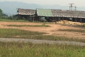 Nhà máy gỗ dăm không phép lại thách thức tỉnh Nghệ An