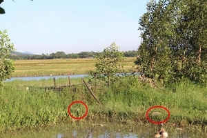 Hà Tĩnh: Chủ lò mổ “biến”  ruộng của dân thành hồ chứa nước thải