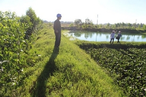 Vụ “biến” ruộng của dân thành hồ chứa nước thải: Do xã không báo cáo?