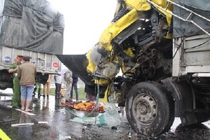 Quảng Nam: Tài xế chết thảm trong cabin vì đàn vịt qua đường
