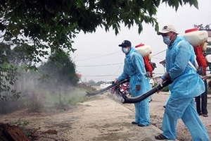 TP.HCM: Xác định 139 trường hợp nhiễm Zika