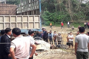 Nghệ An: Học sinh lớp 2 bị ô tô cán tử vong trên đường đi học về