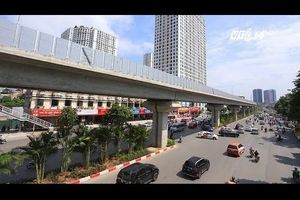 Trồng cau cảnh dưới hầm đường sắt trên cao có hợp lý?