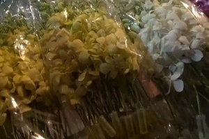 Nhộn nhịp chợ hoa lớn thứ 2 tại Hà Nội