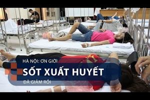 Hà Nội - Ơn giời, sốt xuất huyết đã giảm rồi