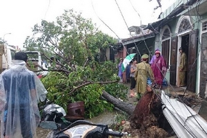 TT. Huế: Tan hoang sau lốc xoáy