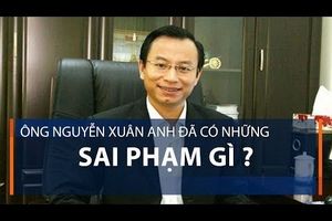 Ông Nguyễn Xuân Anh đã có những sai phạm gì?