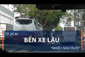 Tp. HCM: Bến xe lậu “nhiều như ruồi”