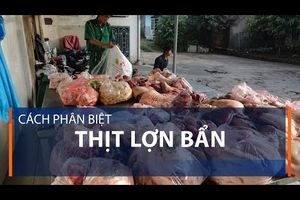 Cách phân biệt thịt lợn bẩn