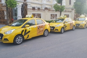 Áp dụng giá cước linh hoạt: 'Đơn thuốc' mới cho taxi truyền thống Việt Nam?