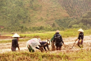 Nhọc nhằn mưu sinh dưới chân núi Ngọc Linh những ngày cận Tết