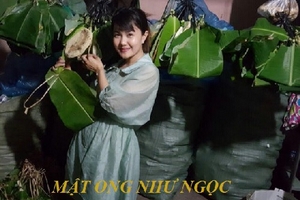 Mật Ong Như Ngọc - Thương hiệu mật ong chất lượng cao