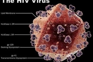 Thụy Sĩ có bước đột phá trong nghiên cứu điều trị HIV