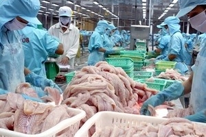 Thủy sản Việt Nam sẽ tăng giá cá tra xuất khẩu