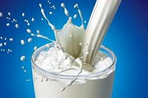 Một ly sữa chứa hơn 20 hóa chất giảm đau
