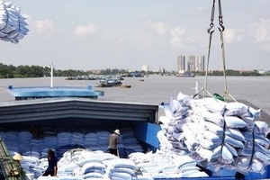 Indonesia sẽ nhập tới 600.000 tấn gạo Việt Nam