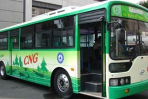 TPHCM sắp khai trương 2 tuyến xe buýt đặc biệt