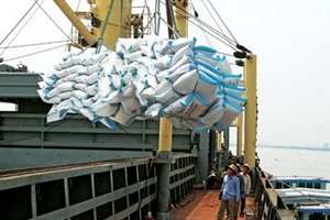 Xuất khẩu gạo: Những kỷ lục mới và thách thức (03/11/2011)
