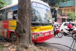 Xe buýt mất lái," mượn" gốc cây cổ thụ làm phanh