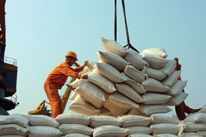 Xuất khẩu gạo Việt Nam: Lợi ích từ xây dựng chuỗi giá trị khép kín
