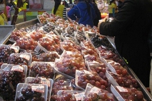 Buôn bán hoa quả Trung Quốc: Một vốn bốn lời