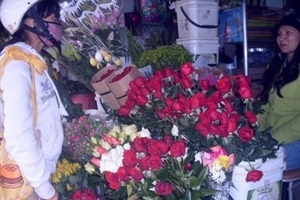 Hoa tươi, quà tặng “nhảy” giá đón Valentine