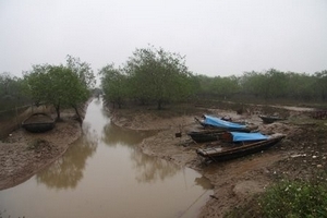 Hồi sinh ở Tiên Lãng