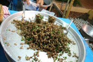 Đến Thái Lan thưởng thức các món côn trùng