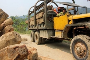 ‘Xã lâm tặc’ và những khu rừng bị chảy máu