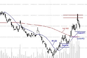Sao vội bắt đáy sớm?