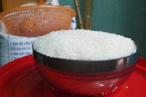 Hà Nội: Gạo bị nghi giả đã xuất hiện