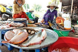 Người đi chợ chọn mua thức ăn: giá rẻ, số lượng ít