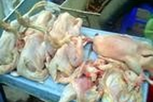 Chợ thịt gà giá rẻ bất thường vẫn hút khách