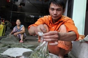 Vợt châu chấu, hốt bạc 60 triệu đ/tháng