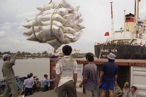 Philippines mua 100.000 tấn gạo của Việt Nam