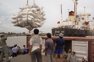 DN xuất khẩu gặp khó vì giá cước tàu biển tăng vùn vụt