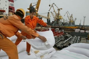 Đổi mới sản xuất, xuất khẩu lúa gạo