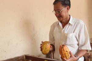 Nông sản lại “ế” do Trung Quốc giảm mua