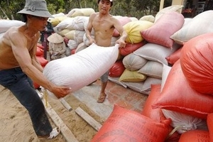 Hết đường xuất gạo cấp thấp