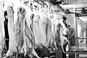 Phát hiện sườn lợn nhiễm bệnh trong siêu thị