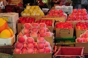 “Hô biến” táo độc thành trái cây Úc, Thái Lan...
