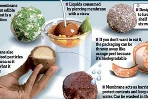 Bao bì thực phẩm có thể ăn được