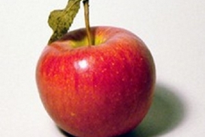 Táo Trung Quốc vẫn an toàn