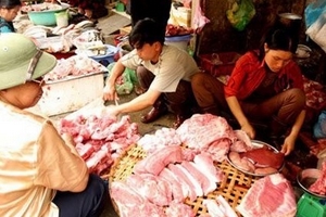 Thịt thối, gà lậu lại ùn ùn về nước