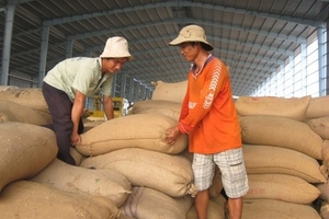 Hỗ trợ nông dân tạm trữ lúa gạo: Chưa có phương thuốc hữu hiệu