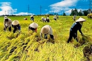 Việt Nam hướng đến đảm bảo an ninh lương thực